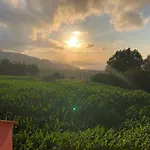 Semesterbostad Quinta Do Avo Dimas - Rural - Sao Bras