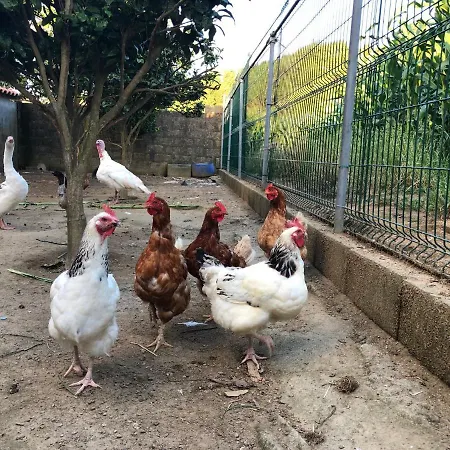 Quinta Do Avo Dimas - Rural - Sao Bras Semesterbostad