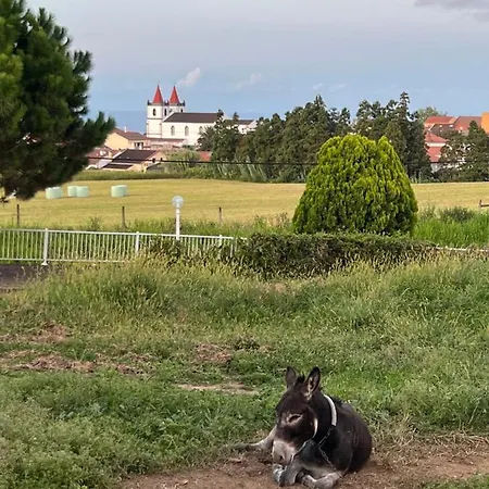 Quinta Do Avo Dimas - Rural - Sao Bras Porto Formoso