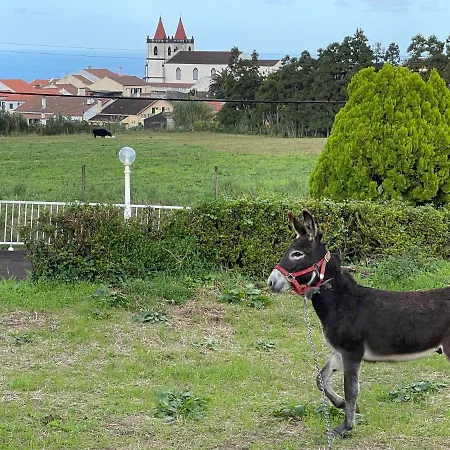 Quinta Do Avo Dimas - Rural - Sao Bras *