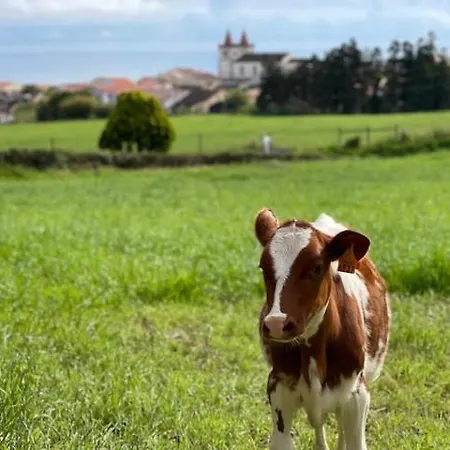 Quinta Do Avo Dimas - Rural - Sao Bras *