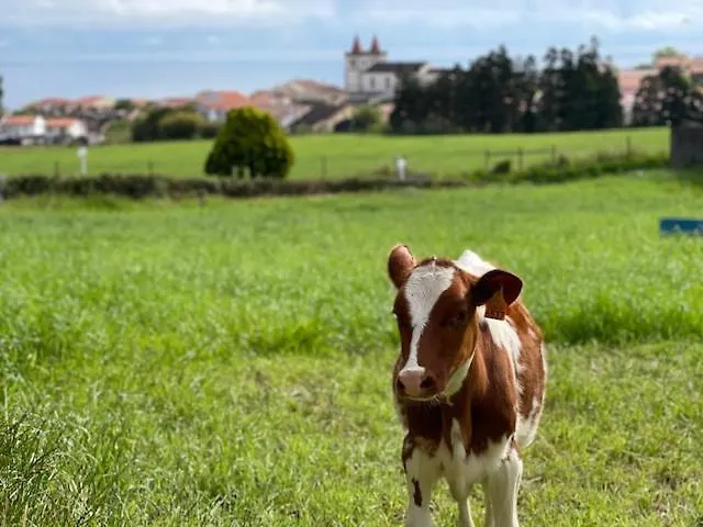 Quinta Do Avo Dimas - Rural - Sao Bras *